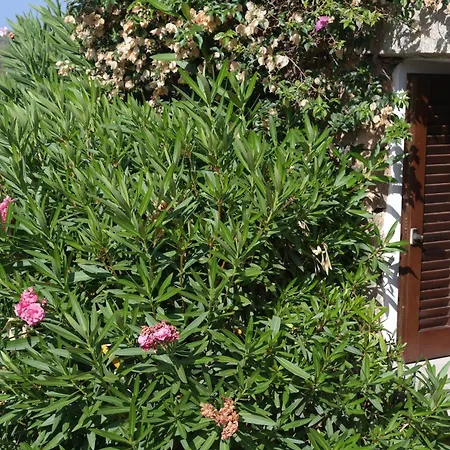 Sardinia Blu شقة فندقية 4*