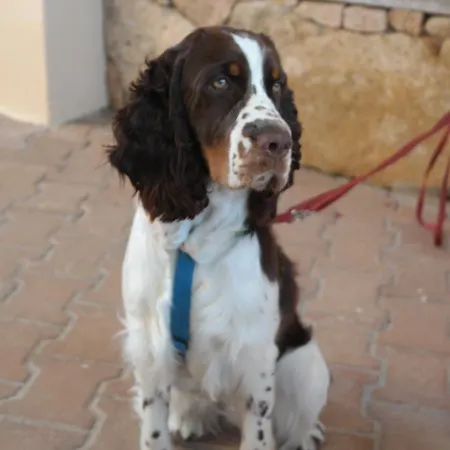 Ξενοδοχείο με διαμερίσματα Sardinia Blu 4*